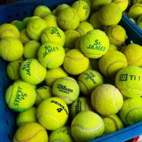 ราคา ลูกเทนนิสมือสอง ใช้ฝึก ซ้อม ตีเล่น tennis wilson st.james dunlop fort (1731221731179267370)