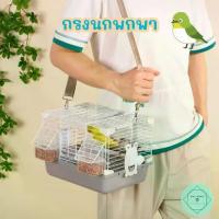 ราคา กรงนกพกพา กรงจิ๋ว เล็ก ขนาดเล็ก หงษ์หยก เลิฟเบิร์ด ฟอพัส นกแก้วจิ๋ว Bird (1731422433305199740)