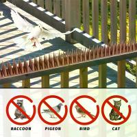 ราคา หนามไล่นกพิราบ 12ชิ้น หนามกันนก หนามกันนกเกาะ หนามไล่นก ไล่นกพิราบ Anti Bird Spike Repellent ป้องกันนกเกาะ ป้องกันนกทำรัง กันนกพิราบ Bird Spikes กันนกเกาะ อุปกรณ์ไล่นกทำรัง แผงหนามกันนก (1731030270692
