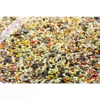 ราคา ธัญพืชรวม Airry Bird สูตรนกหงส์หยก หรือ นกขนาดเล็กที่ไม่กินทานตะวัน (ผสมผงชมพู Belvimin) ขายร้อน (1732647700208060074)