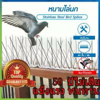 ราคา อุปกรณ์ไล่นก กันนกพิราบ ก้อนไล่นกพิราบ หนามไล่นกพิราบ ที่กันนกพิราบ ที่ไล่นกพิราบ ไล่นก กันนกเกาะ Bird Spikes กำจัดนกพิราบ สแตนเลส กันนก (1731350579444024787)
