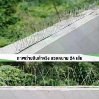ราคา หนามกันนก ฐาน Stainless ความยาว 50 cm แบบ 24 เส้น Bird Spike หนามไล่นก (x12ชิ้น) (1730652044689639754)