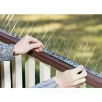 ราคา หนามกันนก แบบเส้น 24 เส้น ฐาน Stainless ยาว 50 เซนติเมตร (1ชุด) Bird Spike หนามไล่นก หนามกันนกเกาะ (1730652036244932938)