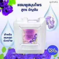 ราคา Q-HANA แชมพูสมุนไพรอัญชัน Herbal Shampoo สูตรดอกอัญชัน บรรจุแกลลอน ขนาด 10 ลิตร สำหรับสระผม บำรุงผมให้เงางาม (1729707846817254075)