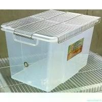 ราคา agencyshoprich ปัจจุบัน [1 ชุดแถมอาหาร 1 ถุง]์Nursery Hamter and Smallpet กล่องเพาะเลี้ยงหนูแฮมเตอร์ กล่องเลี้ยงเม่นแคระ กล่องเลี้ยงกระรอก พร้อมฝาปิด (1731192346624166659)