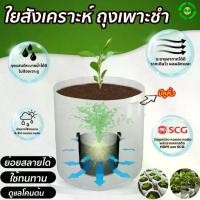 ราคา ถุงเพาะต้นกล้า ถุงเพาะ มีหูหิ้ว+รูระบายน้ำ ดูแลโคนต้น ย่อยสลายได้ ทนแดด ทนฝน ทนทาน ไม่แตกง่าย สำหรับปลูกผักสวนครัว/ดอกไม้ เพาะกล้าไม้ มีทุกขนาด Biodegradable Nursery Bag (1731836400610739227)