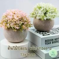 ราคา ต้นไม้ปลอมพร้อมกระถางกลมปูน หญ้า Fake ต้นไม้ประดิษฐ์ ของแต่งบ้าน 13x13cm (1730500849598827397)