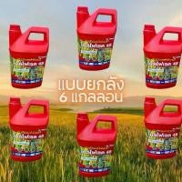 ราคา ไกลโฟเซต “ยกลัง6แกลลอน” ขนาด4ลิตร (แดงเสือ) ยา ฆ่า หญ้า ยาฉีดหญ้า (1732334311936068436)