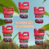 ราคา ไกลโฟเซต 48 (แดงขาว) ‘’‘ยกลัง 6 แกลลอน’‘’ ชนิดดูดซึม ขนาด 4 ลิตร ยา ฆ่า หญ้า ยาฉีดหญ้า (1732337119146183508)