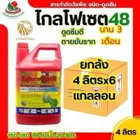 ราคา -ไลฟ์คุ้ม-(ยกลัง X6 ) ไกลโฟเซต48 ดูดซึม48 ส.หวีทอง 4 ลิตร ดูดซึมดี ตายถึงราก ใบแคบ ใบกว้าง กก เถาว์ เครือ สเปรย์ ยา ฆ่า หญ้า หวี ทอง (1732115978224110371)