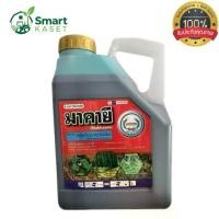 ราคา มาคายี กลูโฟซิเนต-แอมโมเนียม 15% ขนาด 4 ลิตร ยาฆ่าหญ้า ยา ฆ่า (1732254226780424175)