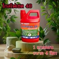 ราคา ไกลโฟ 48 แกลลอนแดง **สารกำจัดวัชพืช** ชนิดดูดซึมทนฝน ขนาด 4 ลิตร ยา ฆ่า (1731405965177358136)