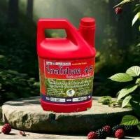 ราคา ไกลโฟเซต 48 (แดงเอ็ม) ชนิดดูดซึม “” 1 แกลลอน“” ขนาด 4 ลิตร ยา ฆ่า หญ้า ยาฉีดหญ้า (1732339348414040916)