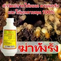 ราคา ได้ผล100% กำจัดปลวกตายยกรัง ยากำจัดปลวก เหยื่อปลวก กำจัด ปลวก เหยื่อกำจัดปลวก ยาปลวก อาหารปลวก ฆ่าปลวกตายยกรัง ยา ฆ่าปลวก สเปรย์ (1732645137209001083)