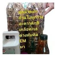 ราคา ชุดน้ำหมักก้านใบหูกวาง ขนาดขวด 1500ml ส่วนผสม ก้านใบหูกวาง,เกลือทะเล,อะควาติกB,ด่างทับทิม,EM,ยา (เติมน้ำเปล่า 1-2 วัน) (1730637726747691061)