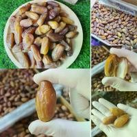 ราคา พร้อมส่ง!! อินทผลัม เดทเรทนัวส์ 1000กรัม เม็ดใหญ่ เนื้อแน่น มัน ผลไม้ ผลไม้อบแห้ง ผลไม้นำเข้า ผลไม้ อินทผาลัม 1โล 1kg. (1731862313140914857)