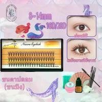 ราคา ขนตาปลอม ต่อขนตา ขนตาต่อ ต่อขนตาปลอม ขนตาปลอมขนมิงค์ false ขนตาปลอมติดเอง ขนตาถาวรติดเอง ชุดขนตาต่อเองถา ขนตาถาวรต่อเ 10D 20D 8-14 mm etude riin ขนตาปลอม charlotte pillow talk (1731985555568297807)