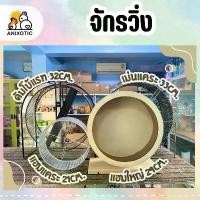 ราคา จักรวิ่ง ลู่วิ่ง จักรแฮมสเตอร์ จักรดัมโบ้แรท (1732674388169623402)