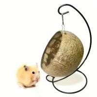 ราคา Hamster ฝ้ายรังเปลญวนหนูตะเภาหมีทองกะลามะพร้าวบ้านนอน + หวายสานชิงช้าสี่ฤดูสากล (1731496341242480332)