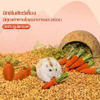 ราคา (เน็ตไอดอลแนะนำ)เเครอทหวายลับฟัน ของเล่นลับฟัน ลับเล็บ แฮมเตอร์ กระต่าย เม่นแคระ ชูก้า สัตว์เล็ก นก แมว สุนัข Hamster Official (1729571871819401319)