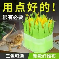 ราคา เครื่องทำความชื้นสำหรับสัตว์เลี้ยง, ฟิสิกส์, การปกป้องสิ่งแวดล้อม, การระเหยตามธรรมชาติ, การออกแบบเต่าและจิ้งจก, เหมาะสำหรับสัตว์เลื้อยคลาน, ไม่ใช่ไฟฟ้า (1731298380340233381)