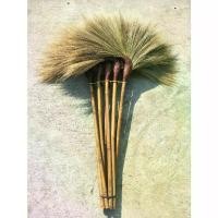 ราคา ไม้กวาด ไม้กวาดดอกหญ้า.งอแดง มี 10 ด้าม ไม้กวาดทำความสะอาด ไม้กวาด broom (1732331638478703449)