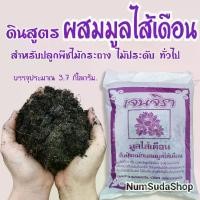 ราคา ดิน ดินปลูกต้นไม้ ดินผสมมูลไส้เดือน พร้อมปลูก (1729685218891500535)