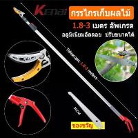 ราคา SOLO ของแท้ กรรไกรตัด-หนีบผลไม้ ยาว1.8-3 กรรไกรตัดหนีบผลไม้ด้ามยาว กรรไกร กรรไกรตัดกิ่ง กรรไกรแต่งกิ่งไม้ ตัดกิ่งไม้ กรรไกรตัดแต่งกิ่งSOLO 3 in 1 กรรไกรตัดกิ่งไม้ใหญ่ เลื่อยตัดกิ (1730939080026720748)