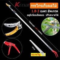 ราคา SOLO ของแท้ กรรไกรตัด-หนีบผลไม้ ยาว1.8-3 กรรไกรตัดหนีบผลไม้ด้ามยาว กรรไกร กรรไกรตัดกิ่ง กรรไกรแต่งกิ่งไม้ ตัดกิ่งไม้ กรรไกรตัดแต่งกิ่งSOLO 3 in 1 กรรไกรตัดกิ่งไม้ใหญ่ เลื่อยตัดกิ (1731736542369319755)