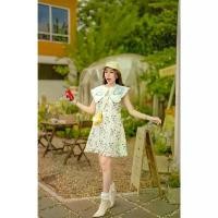 ราคา (s-4xl) เดรสสั้น คอปกอลัง งานปัก ลายดอกเดซี่ งานป้าย thanyacha (1732575253990901274)