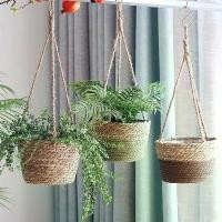 ราคา กระเช้าฟางทอหวาย สไตล์แขวน กระถางดอกไม้ กระถางหัวไชเท้าสีเขียว กระถางดอกไม้แขวน กระถางดอกไม้ติดผนัง ตะกร้าสานกระจูด ตะกร้า ใส่ เหรียญ โปรยทาน (1732124390224136866)