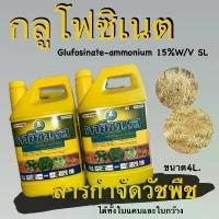 ราคา คายีซาเรส แกลลอนสีเหลือง (กลูโฟซิเนตแอมโมเนียม) ขนาด 4 ลิตร หวี ทอง (1732797500050081571)