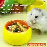 ราคา ถ้วยเซรามิคสัตว์เลี้ยง ชามใส่อาหาร ชามใส่อาหารหนูแฮมสเตอร์ ชามอาหารหนู ชามอาหารสัตว์เลี้ยง ถ้วยอาหารสัตว์เลี้ยง ถ้วยอาหารหนูแฮมสเตอร์ ถ้วยนม ชูก้าไกล์เดอร์ ลิงมาโมเสท บุชเบบี้ กระรอก แฮมสเตอร์ นก (172