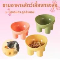 ราคา ชามอาหารสัตว์เลี้ยง ที่ใส่อาหาร ทรงสูงเอียง ชามอาหารและน้ำ ชามสำหรับสัตว์เลี้ยง ถ้วยใส่อาหารสุนัข หมา แมว (1731762070984493266)