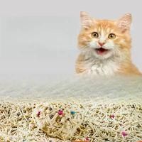 ราคา ทรายแมวเต้าหู้ ออร์แกนิค100% ผลิตจากกากถั่วเหลืองธรรมชาติ ทรายแมว ทรายแมวเต้าหู้ ทรายเต้าหู้ (1732592809260385811)