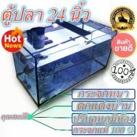 ราคา พร้อมส่งจากไทย ตู้ปลา เลี้ยงปลาทอง ปลาหมอ และปลาอื่นๆ กระจกหนา 5 มิล ขนาด 24 นิ้ว (1731422160424174845)