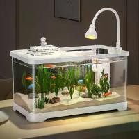 ราคา ตู้ปลาใส 360 พร้อมตัวกรองพลังงานและปั๊มน้ำ ตู้ปลา พร้อมไฟ LED มัลติฟังก์ชั่น ระบบนิเวศ เหมาะสำหรับตกแต่งปลา มาใหม่ (1732686878940628666)