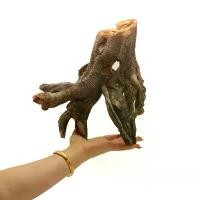 ราคา จำลองต้นไม้จม, กิ่งก้านและรากต้นไม้, ตู้ปลา, กระถางหญ้า, ตกแต่ง, บ้านที่อยู่อาศัย, เต่า, กล่องสัตว์เลี้ยง, เครื่องประดับภูมิทัศน์, การออกแบบที่สร้างสรรค์ (1731239950392264568)