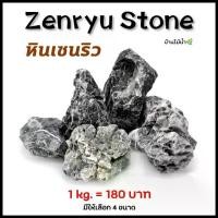 ราคา [พร้อมส่ง] หินเซนริว Zenryu Stone เซนริว หินตกแต่งตู้ไม้น้ำ หินตกแต่งตู้ปลา หินจัดสวน ตู้ปลา ตู้ไม้น้ำ เทอร์ราเรียม | บ้านไม้น้ำ (1732778036498892569)