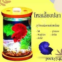 ราคา โหลใส่ปลากัด โหลแก้ว โหลเลี้ยงปลา โหลใส่น้ำ โหลเลี้ยงปลา ตู้ปลาLED ตู้ปลาขนาดเล็ก **มีของ** (1732590162233689299)