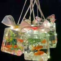 ราคา ตู้ปลา, ชามปลาสี่เหลี่ยม, แผงลอยปลาฟอง, ปลา Betta, ขวดปง ขาย ปลากัด ปลากัดยักษ์ ไซส์ ใหญ่ ปลากัดยักษ์ ไซส์ ใหญ่ ชุด พร้อม เลี้ยง ตู้ปลา กระปุก ใส่ ปลากัด (1731924361850357671)