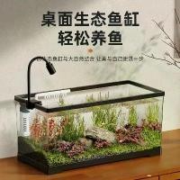 ราคา ตู้ปลา, ตู้ภูมิทัศน์ทางนิเวศขนาดเล็ก, วัสดุพลาสติก, โปร่งใส, เหมาะสำหรับห้องนั่งเล่นและของตกแต่งบ้าน, ลูกโลกปลาด้านบน, รวมออกซิเจน, การฉีดขึ้นรูปแบบบูรณาการ, ใหม่ในปี 2025 (1731533308614445531)