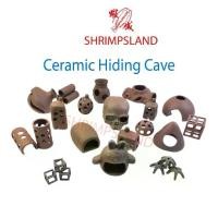 ราคา ตกแต่งตู้ปลาเซรามิก, บ้านพักปลาห้องนิรภัยและกุ้ง, [SHRIMPSLAND] ตู้ปลา นาโน โมเดลบ้าน โบราณ แต่ง หญ้า น้ํา ก้อนหิน ใส่ ปลาไหล ไฟฟ้า พร้อม เลี้ยง ตุ๊กตา เกาะขอบ อ่าง ปลา กล่องโฟม (1732387654389368552)