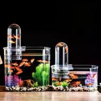 ราคา ตู้ปลา, สไตล์ไม่ซ้ำใคร, มุมมองที่ชัดเจน, แรงดันใต้อากาศ, ประหยัดพื้นที่, กันกระแทก, ลอยน้ำ, เหมาะสำหรับเดสก์ท็อป, ทำจากพลาสติก, ชามปลาสำหรับตกแต่งสำนักงาน (1732561251086599472)