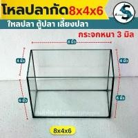 ราคา COD โหลปลากัด 8x4x6นิ้ว กระจกหนา 3 มิลลิเมตร เหลี่ยมปลากัด โหลปลา ตุ้ปลากัด ตู้ปลา (1ใบ) (1732256340524696650)