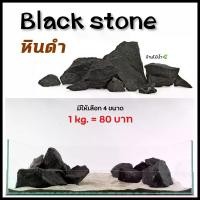 ราคา พร้อมส่งจากไทย หินดำ Black Stone หินสีดำ หินตกแต่งตู้ไม้น้ำ หินตกแต่งตู้ปลา หินจัดสวน ตู้ปลา ตู้ไม้น้ำ เทอร์ราเรียม| บ้านไม้น้ำ (1731746675730253812)
