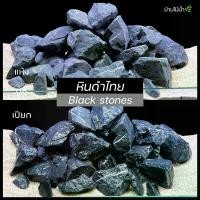 ราคา [Tiktok] หินดำ Black Stone หินสีดำ หินตกแต่งตู้ไม้น้ำ หินตกแต่งตู้ปลา หินจัดสวน ตู้ปลา ตู้ไม้น้ำ เทอร์ราเรียม | บ้านไม้น้ำ (1732460471363208915)