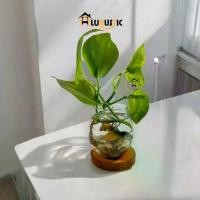 ราคา ตู้ปลาขนาดเล็ก, ตู้ปลา, ตู้ปลา, ตู้ปลากะพง, ตู้ปลาสวยงาม, แจกันแก้วกลม, แจกันแก้วราคาถูก, เรือ (1732590596754147173)