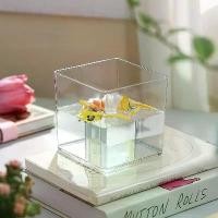 ราคา แจกันเรียบง่าย ทรงกระบอกสี่เหลี่ยมอะคริลิค หนา โปร่งใส เหมาะสำหรับพืชตู้ปลา หัวหอมสีเขียวไฮโดรโปนิกส์ ภาชนะใส่เครื่องประดับ ม้าลาย เรืองแสง ดอก จอก ใส่ อ่าง โต๊ะ aquar (1731190351331099694)