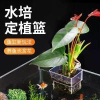 ราคา ตู้ปลา ตะกร้าเพาะปลูกพืชไฮโดรโปนิกส์แบบใส ติดผนัง พร้อมถ้วยพืชน้ำ ตกแต่งภูมิทัศน์พืชสีเขียว ชั้นวางตกแต่ง ตะกร้าแขวน สำหรับตู้ปลา (1732574220419303184)